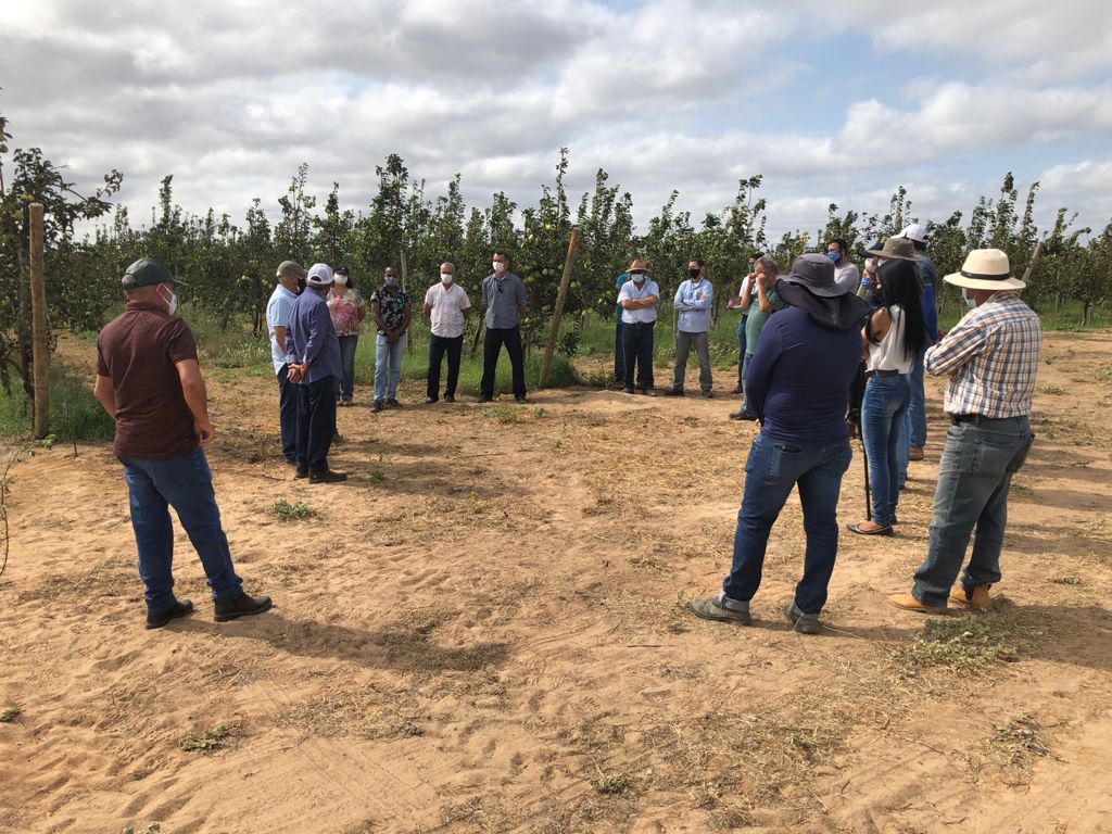 Visita de campo